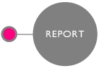 Purchase the MEX reports
